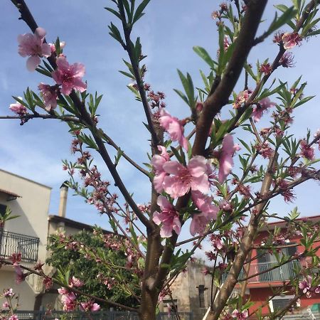 Il Giardino Di Nonno Agostino Bed & Breakfast Castellammare di Stabia Exterior foto