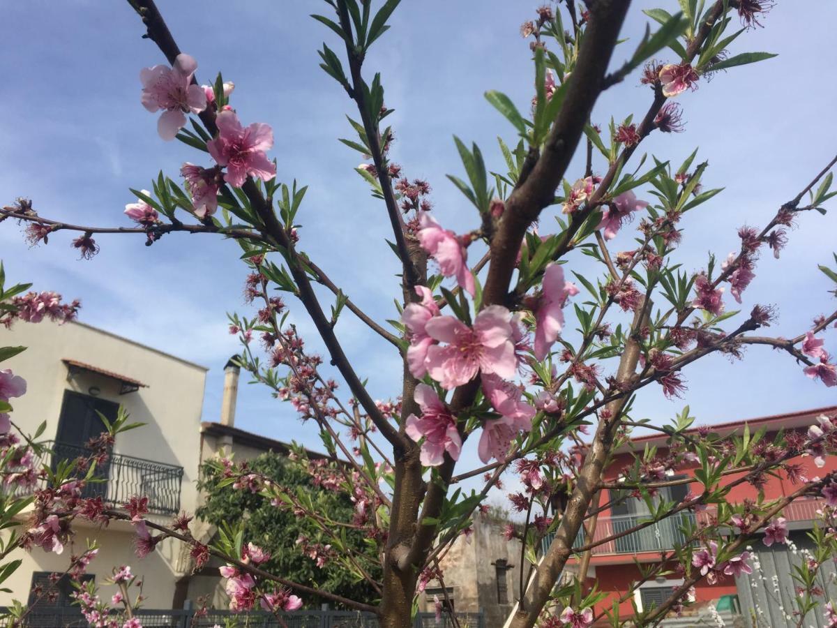 Il Giardino Di Nonno Agostino Bed & Breakfast Castellammare di Stabia Exterior foto