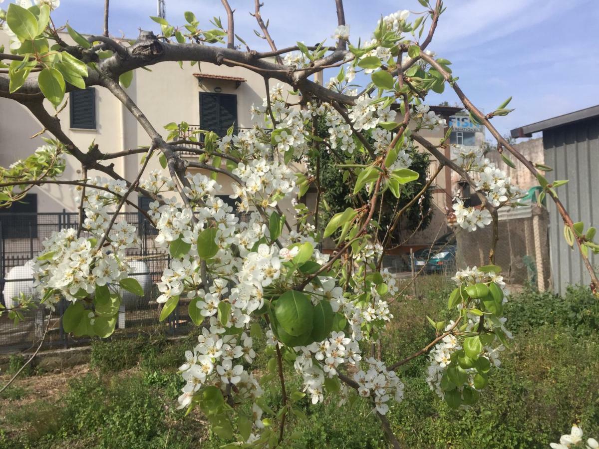 Il Giardino Di Nonno Agostino Bed & Breakfast Castellammare di Stabia Exterior foto