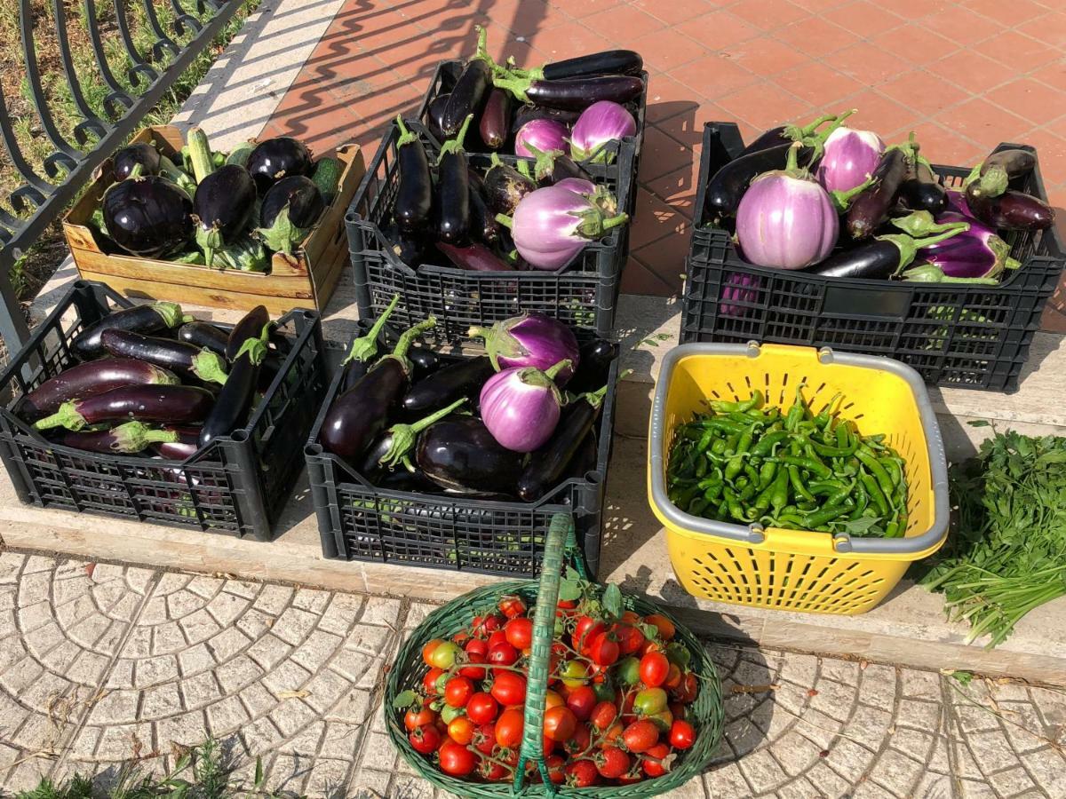 Il Giardino Di Nonno Agostino Bed & Breakfast Castellammare di Stabia Exterior foto