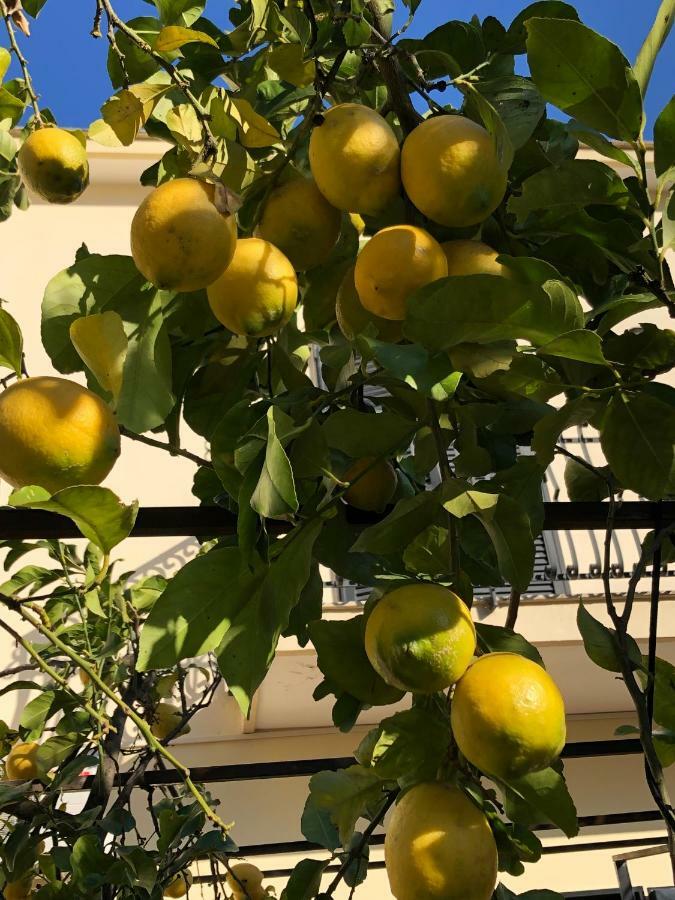 Il Giardino Di Nonno Agostino Bed & Breakfast Castellammare di Stabia Exterior foto