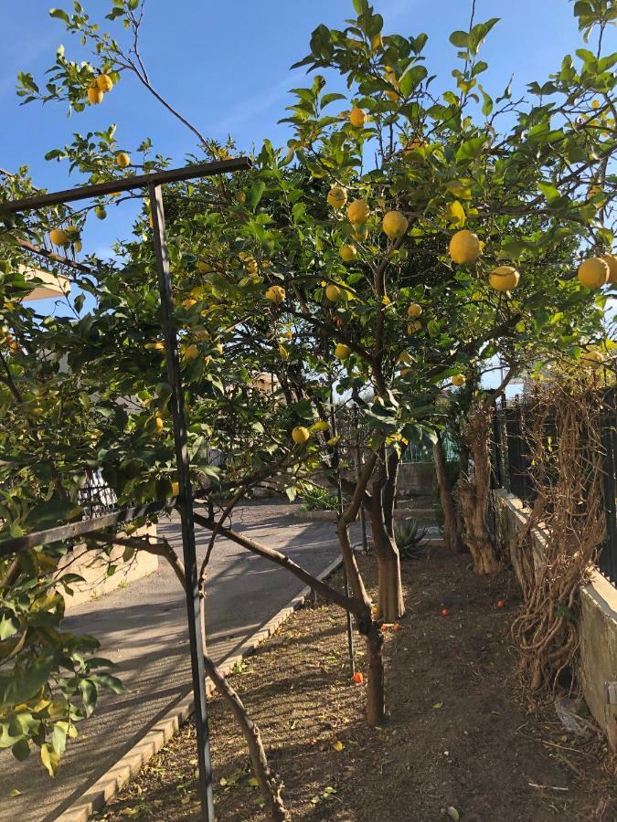 Il Giardino Di Nonno Agostino Bed & Breakfast Castellammare di Stabia Exterior foto